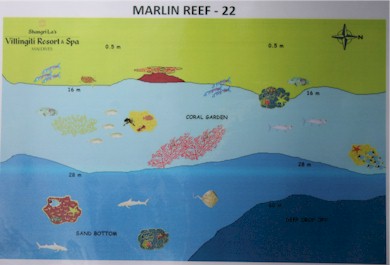 Marlin Reef